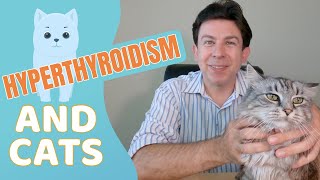 Hyperthyroidism and cats by Helpful Vancouver Vet 52,073 views 2 years ago 14 minutes, 15 seconds