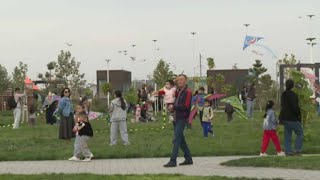 Фестиваль воздушных змеев прошёл в Шымкенте