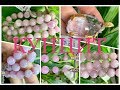 КУНЦИТ 🌸 Разновидность минерала СПОДУМЕН 🌸 Ювелирная Энциклопедия 🌸💞🌸💞🌸💞🌸 Леди Самоцвет 🌸