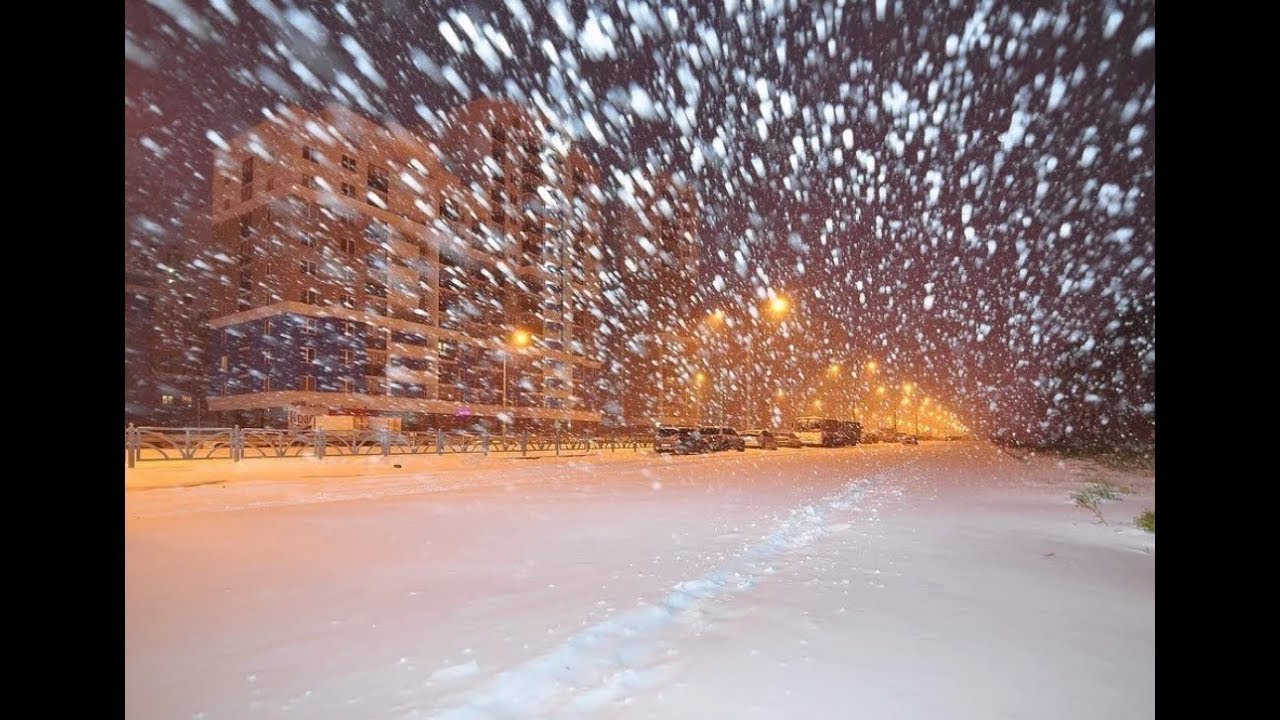 Зима Метель Фото