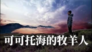 🎼 [ 可可托海的牧羊人 ] 🎼  演唱 : 王琪