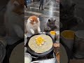 小猫飞饼,确定不来一份? 努力补贴家用的俩毛孩子,555😭#被迫营业的猫猫#会做饭的猫#出摊日记#AI创作#咪了个喵