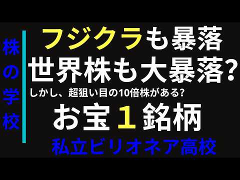 フジクラ暴落の中、超狙い目のテンバガー株？がある。この銘柄を見逃すな！
