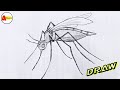 How to draw a mosquito easily and step by step 
