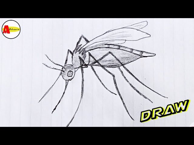 Realistic illustration of a mosquito. ector icon - Stock Illustration  [68657897] - PIXTA