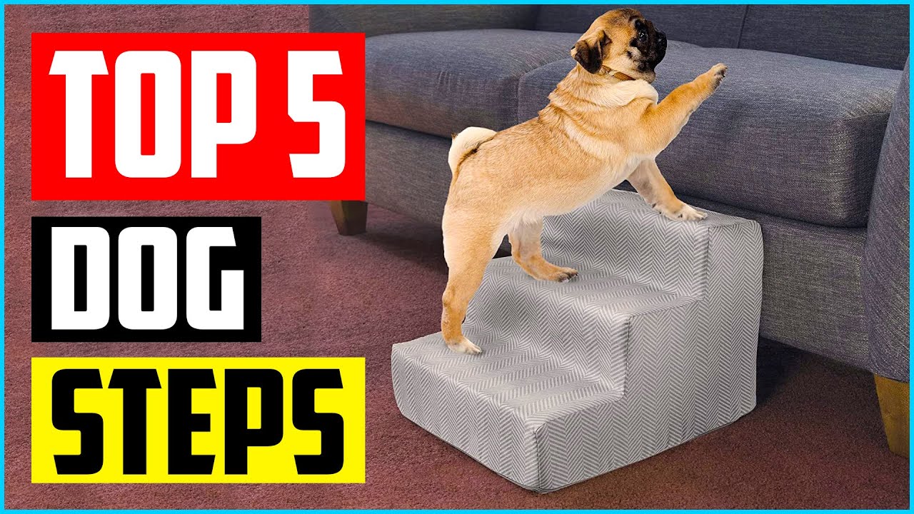 best dog steps