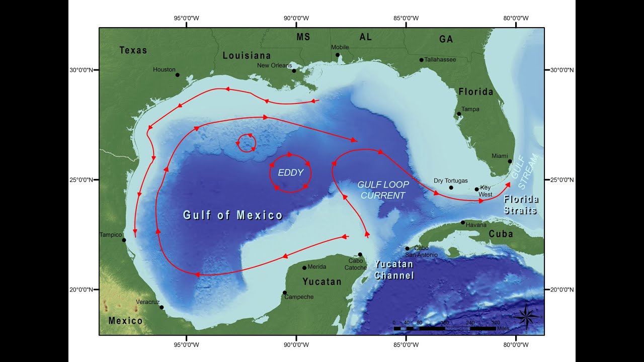 Increasing Acidification in the Gulf of Mexico - a Summary