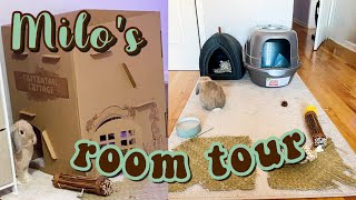 Bunny Room Tour!! | Rabbit Setup