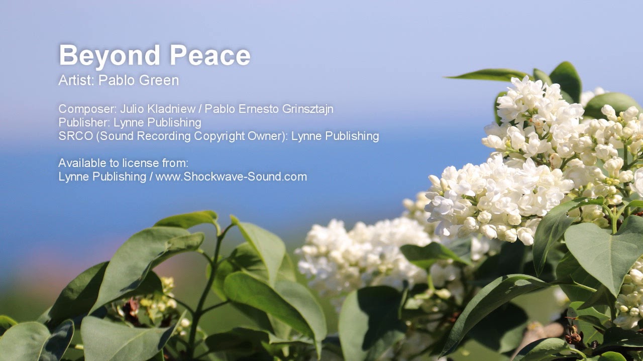 Beyond Peace -  Pablo Green (Lynne Publishing)