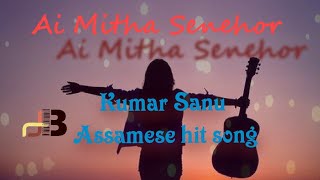 Ai Mitha Senehor Logonot | Kumar Sanu and Mitali Choudhuri Assamese Super hit song
