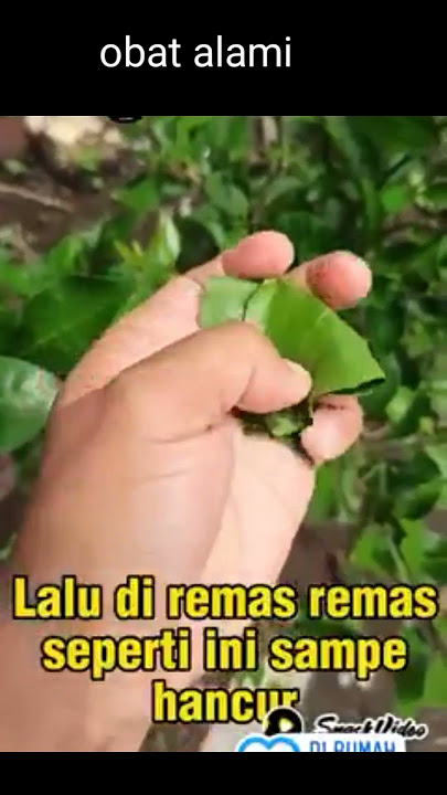 Obat Alami Sakit Gigi #resepdokter  #sakit #sakitgigi