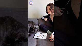 Anjing ini main tic-tac-toe, dan hasil akhirnya di luar dugaan! 🤯