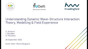 Understanding Dynamic Wave Structure Interaction Theory, Modelling & Field Experience