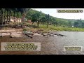 Visite des concessions  vendre au bord du fleuve congo  maluku village 17