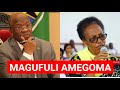 RAIS MAGUFULI AGOMA KUFUTA SHAMBA LA HUYU MAMA NILIFANYIWA SIWEZI KUSEMA