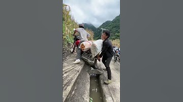 filterchallenge​ #spongebob #shortfeeds