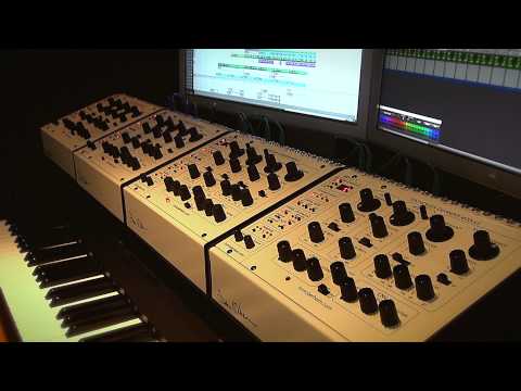 Oberheim SEM Four Voice Custom Setup