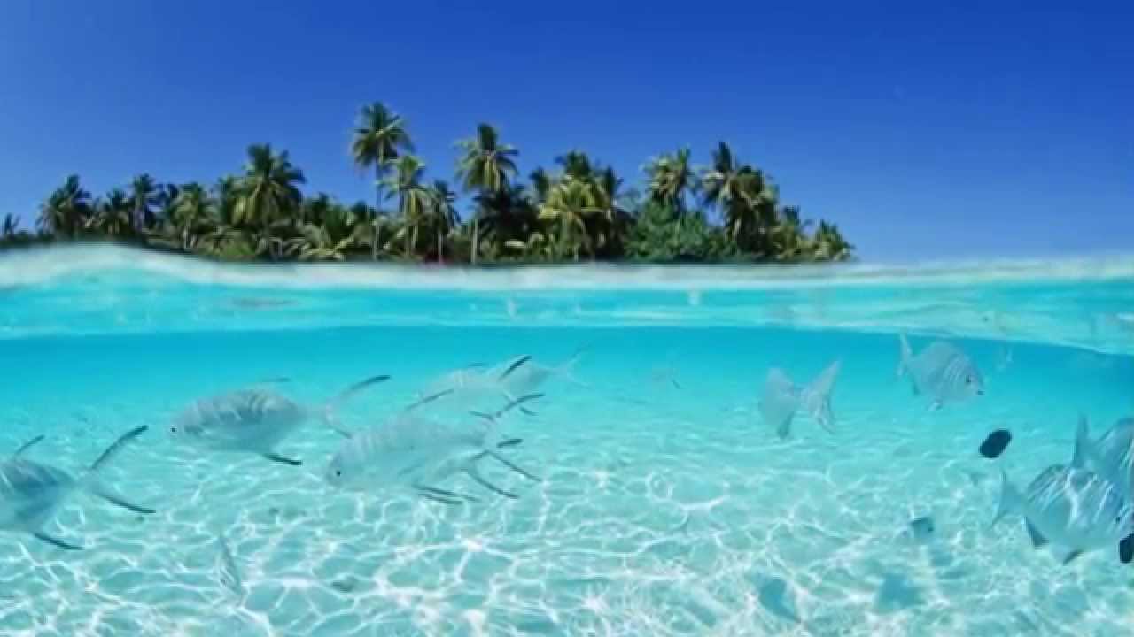 世界の絶景 モルディブ 南国 海 ビーチ Youtube