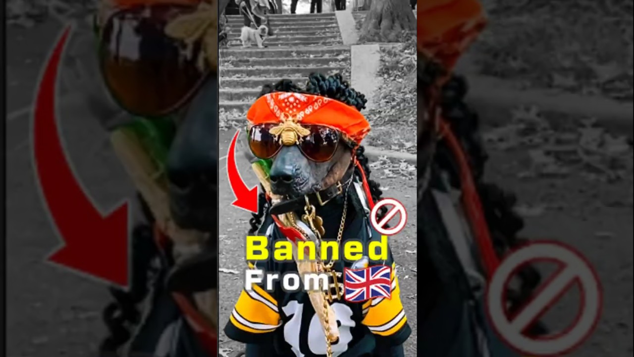 Rappers Banned Worldwide 🚫🌍