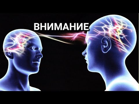 Ваша жизнь создаётся ВНИМАНИЕМ. ИНТЕРЕС - его главная настройка.