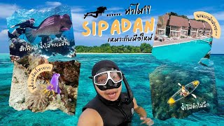 ทำไม ดำน้ำ ต่างประเทศครั้งแรก ต้องไป สิปาดัน SIPADAN #T3B #ครูบูมสอนดำน้ำ #Sipadan