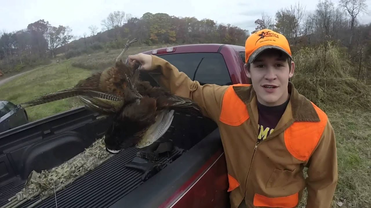 Central Pa Pheasant Hunt GoPro