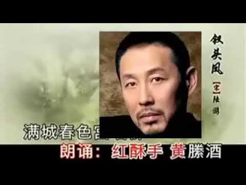 陆游 唐琬《钗头凤》演唱：廖昌永 宋祖英 朗诵；陈道明