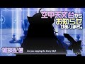 【Live2Dアプデお披露目】7/21は初配信記念日！Live2Dお披露目するよ！【せーな / Vtuber】