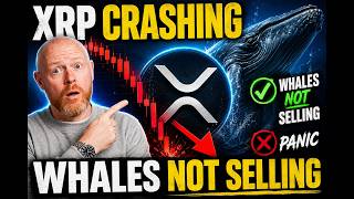 XRP Is CRASHING... But The Whales Aren't Selling