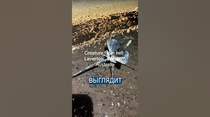 В Австралии нашли существо из ада - неизвестное насекомое