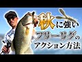 【バス釣り】秋バス攻略!フリーリグの特殊なアクション方法で釣果UP!