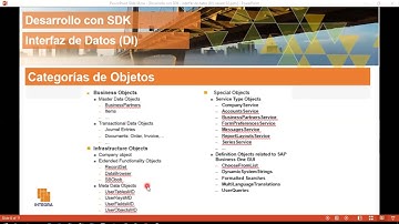 SDK Interfaz de Datos (DI) -  Categorias de objetos