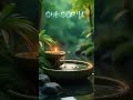 relaxing piano music with bamboo water fountain sounds #relaxingmusic #relaxing #relax #pianomusic