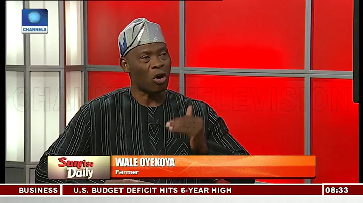 'Nigeria Lacks Sustainable Food Security Policy' Farmer Dissects Challenges Pt.1 |Sunrise Daily|