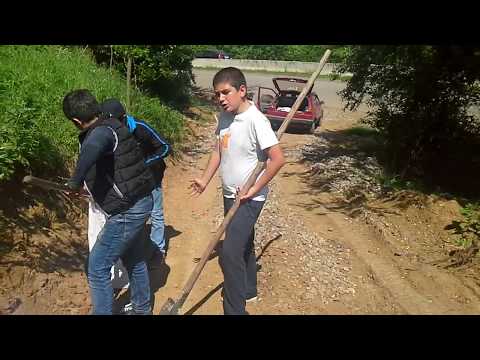 მიწიდან წამოსული სიყვარული