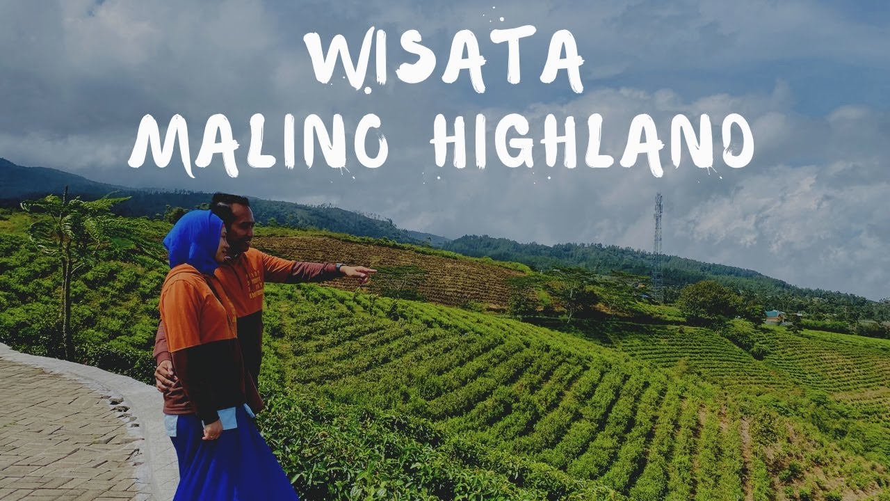 Malino Highland || Wisata Kebun Teh