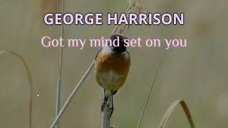 George Harrison - Got My Mind Set On You