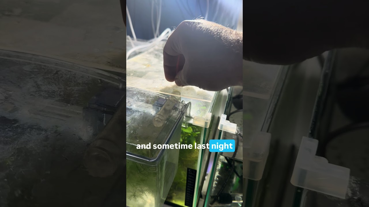 Definitely a low point 