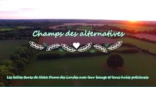 Agroécologie en France Champs des alternatives (Merci à tous vos visionnages et relais :o))