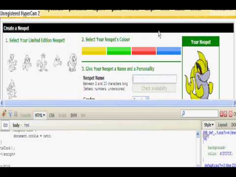 How to create a Limited Edition pet in Neopets