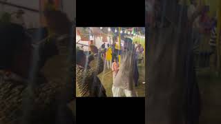 Crazy dandia dance #dandia #bhubaneswar