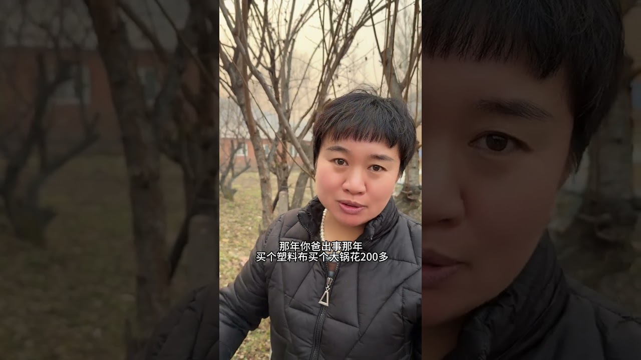 我们也要准备暖暖和和的猫冬了