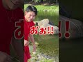 【ばーじぼぶ御中】#shorts