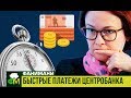 Всё о системе быстрых платежей Центробанка // Фанимани