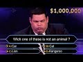 Top 5 Game Show Winners THAT MADE MILLIONS!