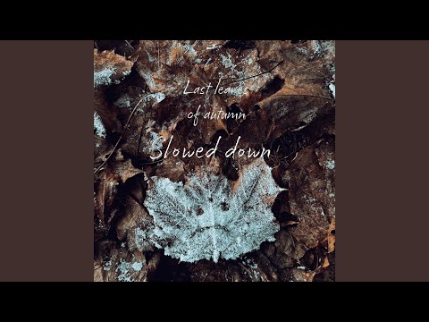 Last Leaves of Autumn (Slowed Down)