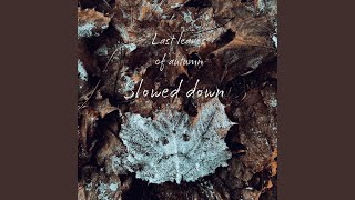 Last Leaves of Autumn (Slowed Down)