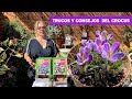 Trucos y consejos del Crocus 🏡🦅