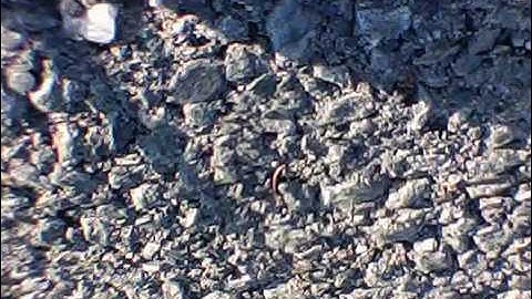 Learning to fly the Bugs3 .... fail