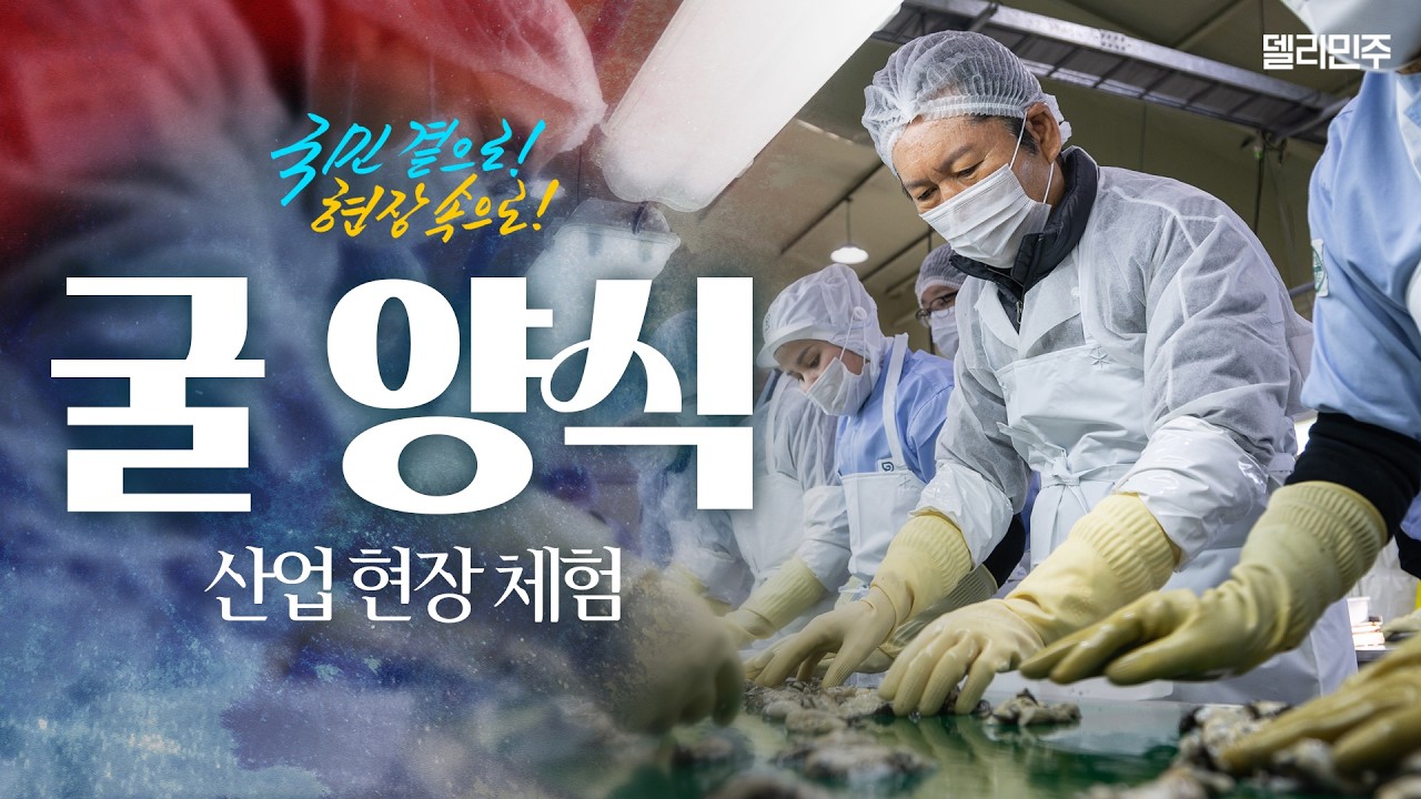 경남 거제시 굴 양식 산업 현장 체험 | 국민 곁으로! 현장 속으로!